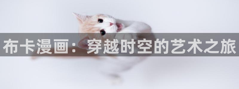 最新a漫禁漫天堂